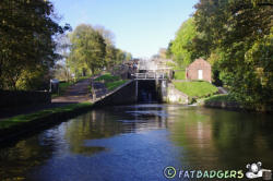 Bingley Five Rise