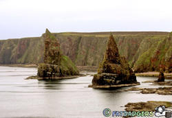 Duncansby Stacks