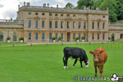 Dyrham Park