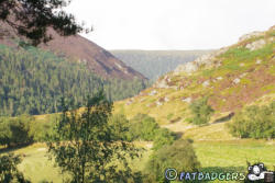 Gilfach