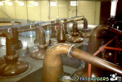 Glenfiddich Distillery