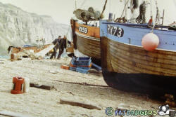 Hastings Land Based Fishing Fleet