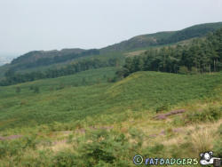 Ilkley Moor