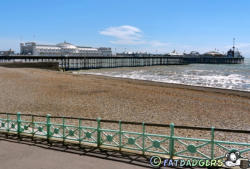 Palace Pier