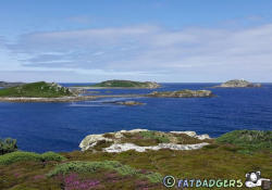 St. Martins