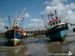 The Cobb