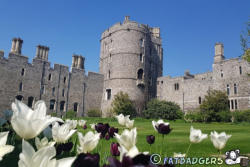 Windsor Castle