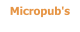 Micropub's