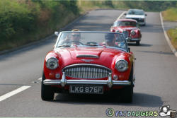 Austin-Healey