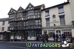 Feathers Hotel