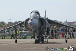 Harrier