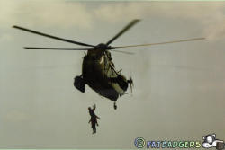 Sea King