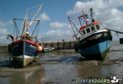 The Cobb