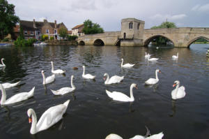 Great Ouse at St. Ives