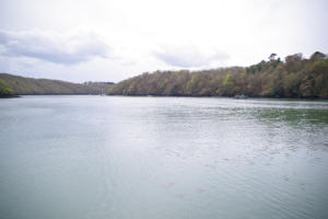 King Harry Ferry