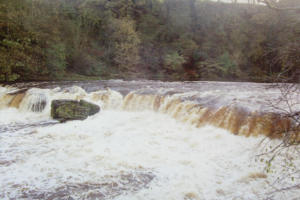 River Ure - Aysgarth Falls