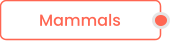 Mammals