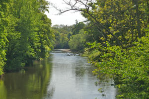 River Dee in Summer